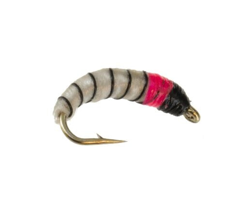 Grub, Light Pink