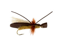 Gypsy King, Golden Stone