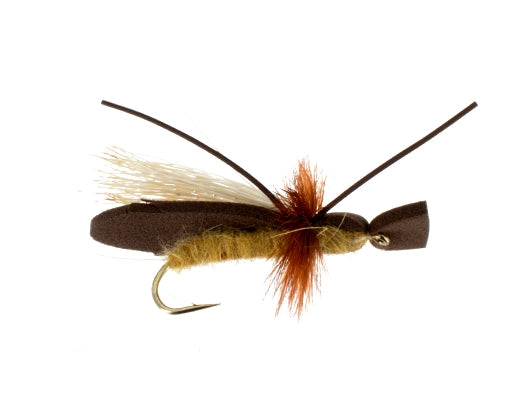 Gypsy King, Golden Stone