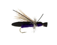 Gypsy King, Purple