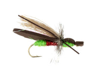 Gypsy King, Watermelon