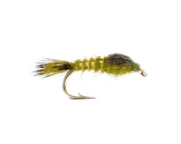 Hares Ear, Olive