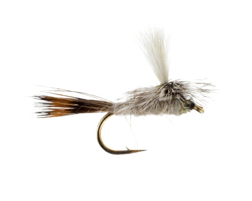 Hares Ear, Parachute