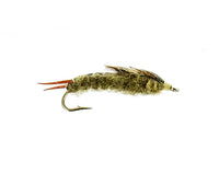 Heath's Stonefly, Olive