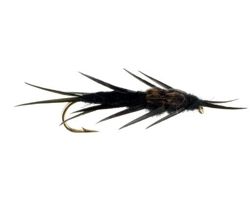 Hellgrammite, Black Carp