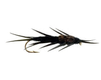 Hellgrammite, Black Carp