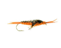 Hellgrammite, Brown Carp