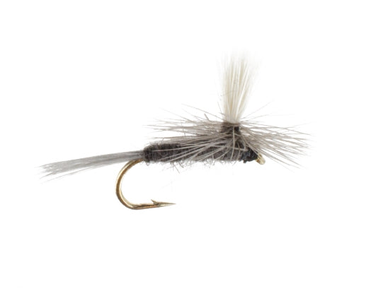 Hendrickson, Parachute