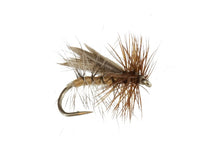 Henryville Caddis, Tan