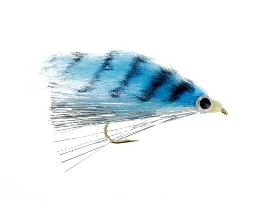 Hot Flash Minnow, Shad