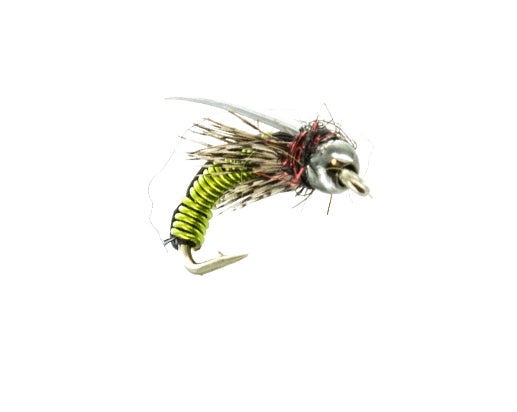 Beadhead Hotwire Caddis, Black and Chartreuse