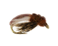 Hydropsyche Caddis Larva