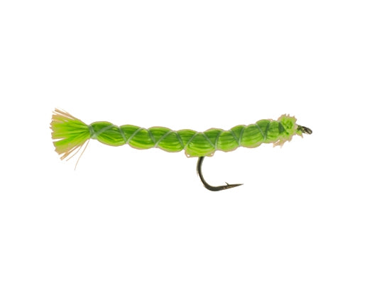 Inch Worm