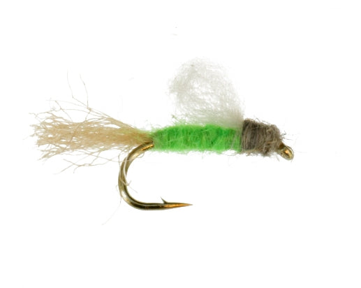 Iris Caddis, Bright Green