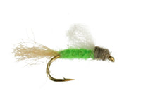Iris Caddis, Bright Green