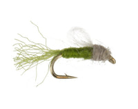 Iris Caddis, Olive