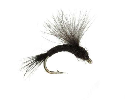 Isonychia Emerger