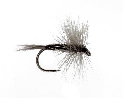Isonychia SlateDrake Barbless
