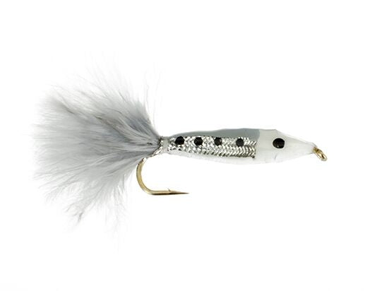 Janssen's Threadfin Shad