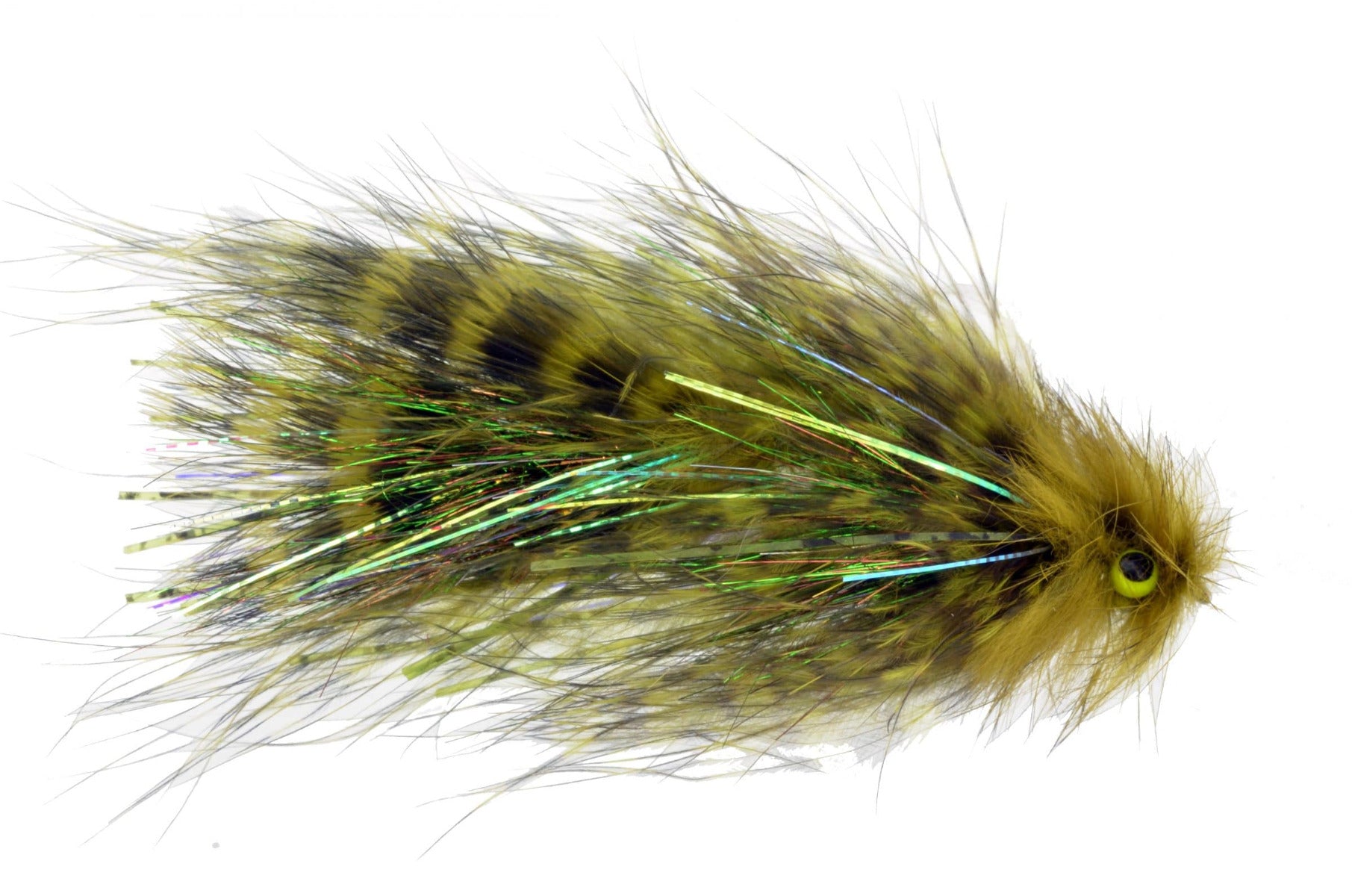 Catch's Jealousy, Olive Black