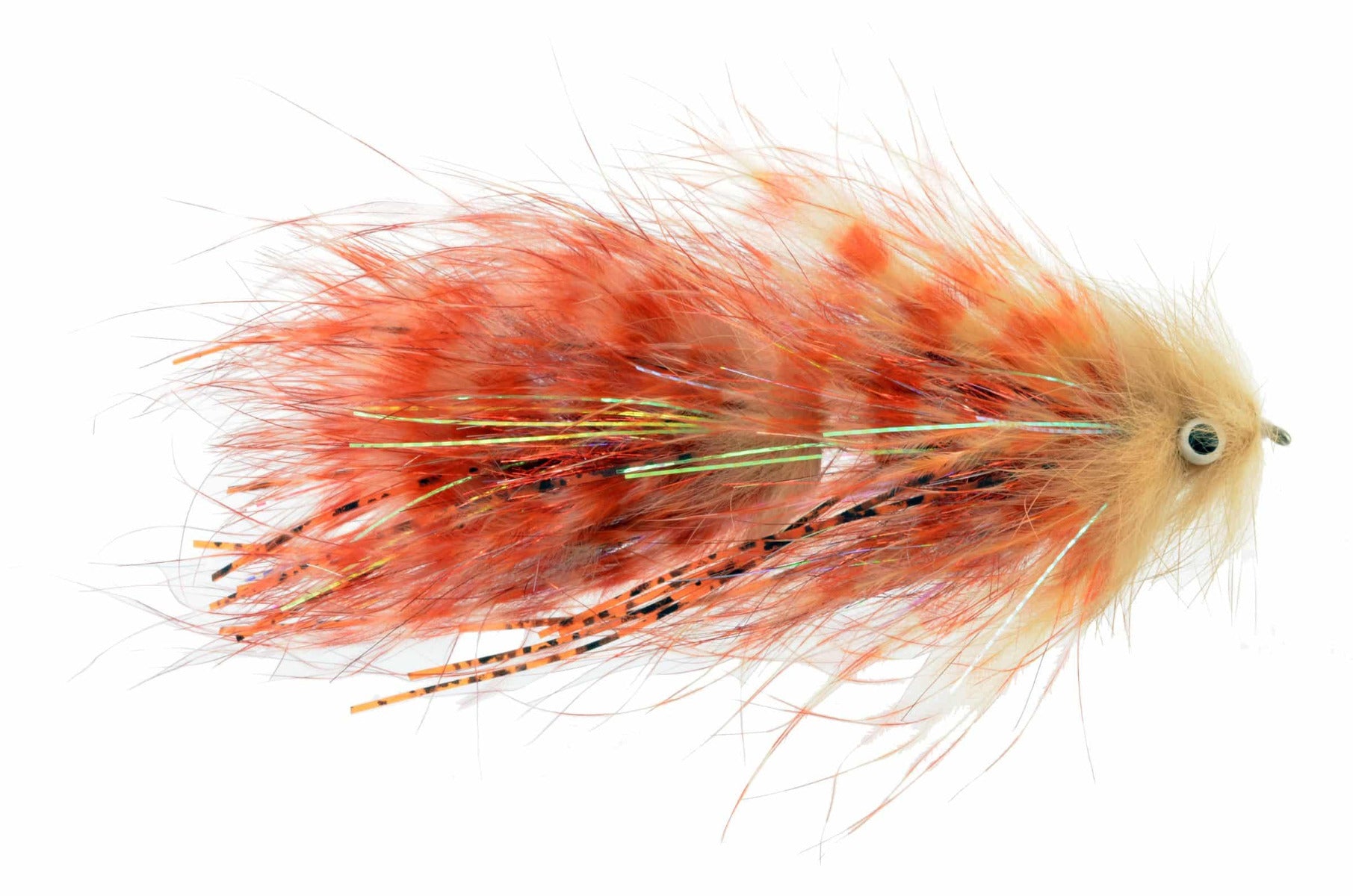 Catch's Jealousy, Tan Orange