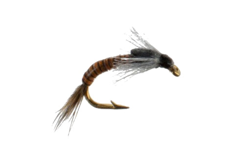 JoJo-Baetis-Emerger