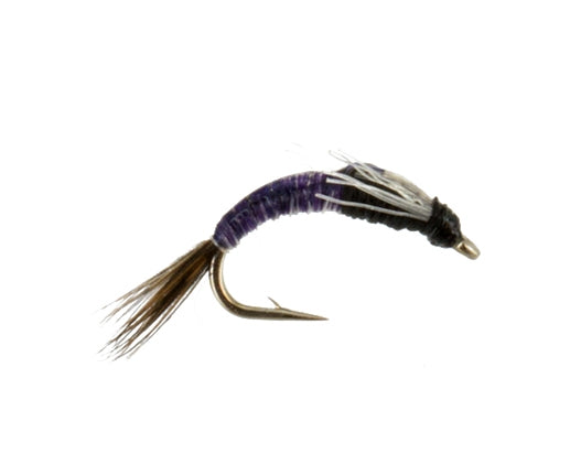JoJo Baetis, Purple