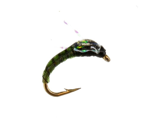 JoJo-Baetis