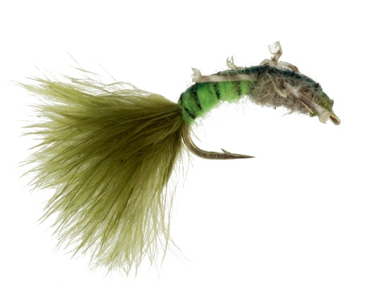 Jumbo Caddis, Chartreuse