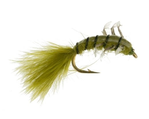 Jumbo Caddis, Olive