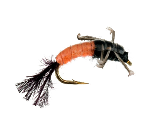 Jumbo Caddis, Orange