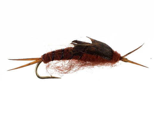 Kaufmann Stonefly, Dark Brown