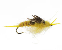 Kaufmann Stonefly, Golden