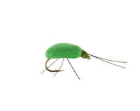 Leaf Hopper