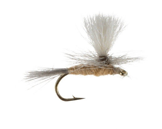 Light Hendrickson, Parachute