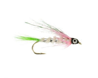 Little Rainbow Trout