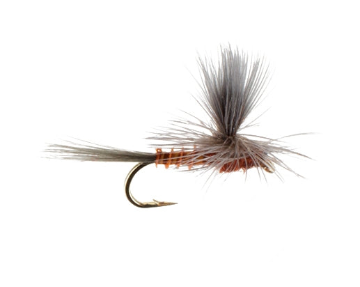 Mahogany, Parachute