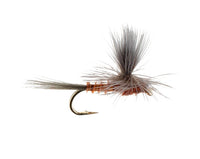 Mahogany, Parachute