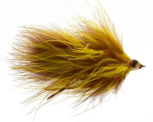 Marabou Maiden, Bighorn
