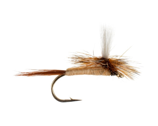 March Brown, Parachute