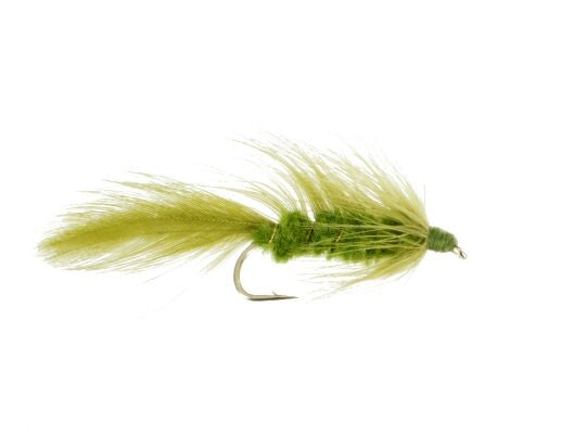 Matuka, Olive
