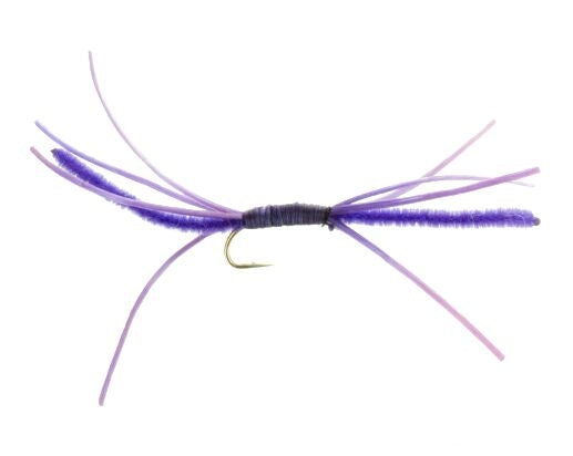 Medusa, Purple Carp