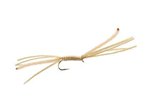 Medusa, Tan Carp