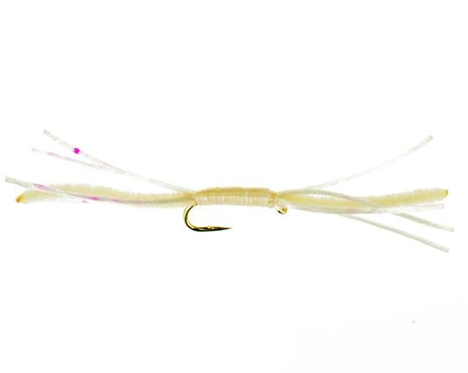 Medusa, White Carp