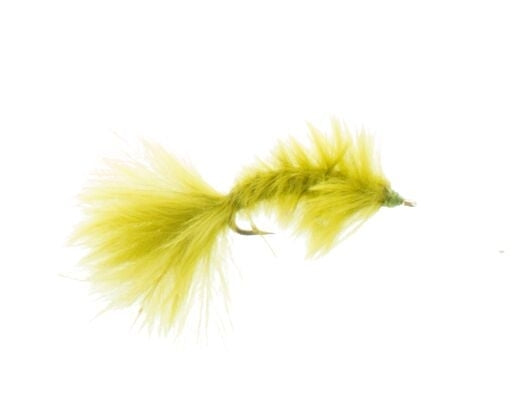 Micro Bugger, Olive