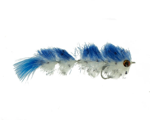 micro-name-changer-blue-and-white