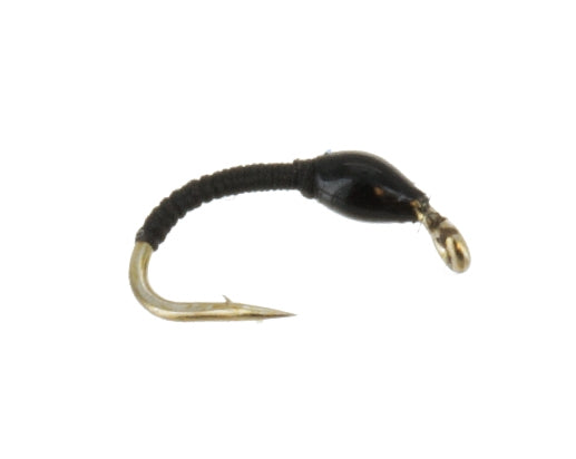 Midge Larva, Black