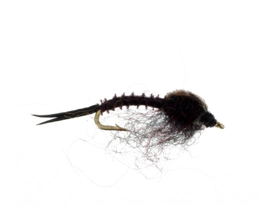 Mini Stonefly, Black