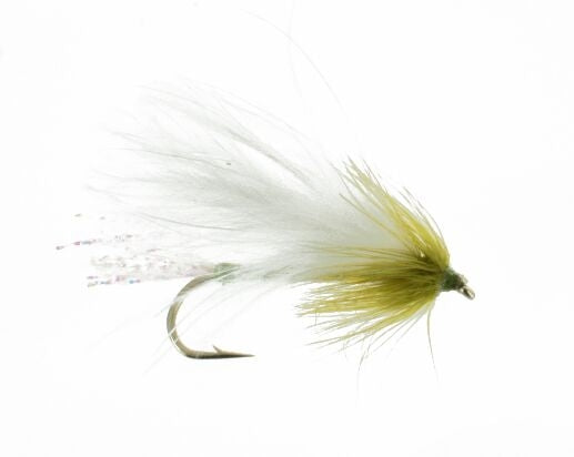 Montana White
