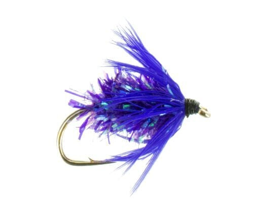 Mulberry Carp